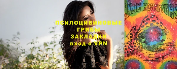 СК Волосово