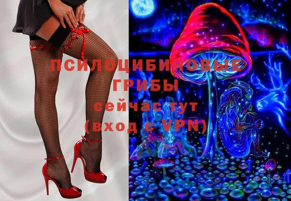 СК Волосово